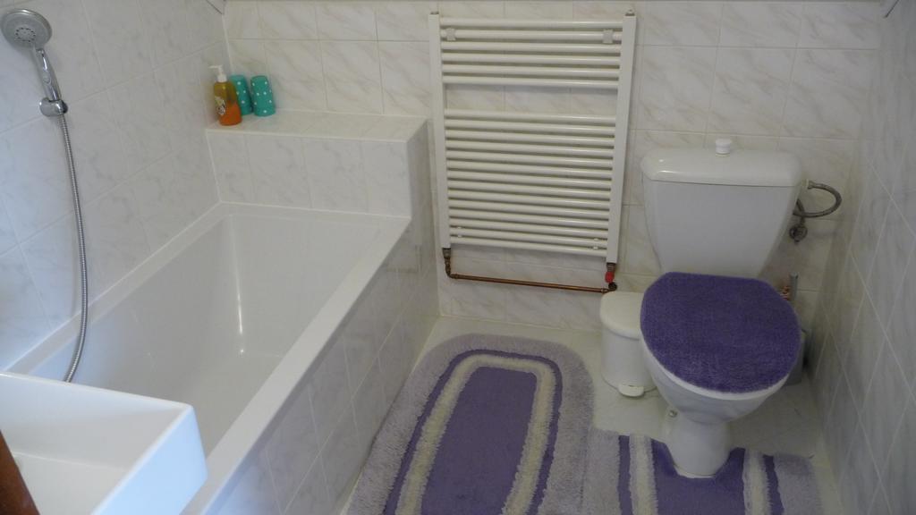 Apartman U Hanicky ビェラー・ポト・プラジェデム エクステリア 写真